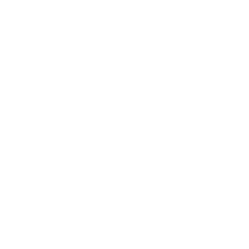 Fast website performance icon