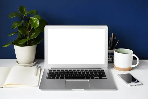 Business website design mockup